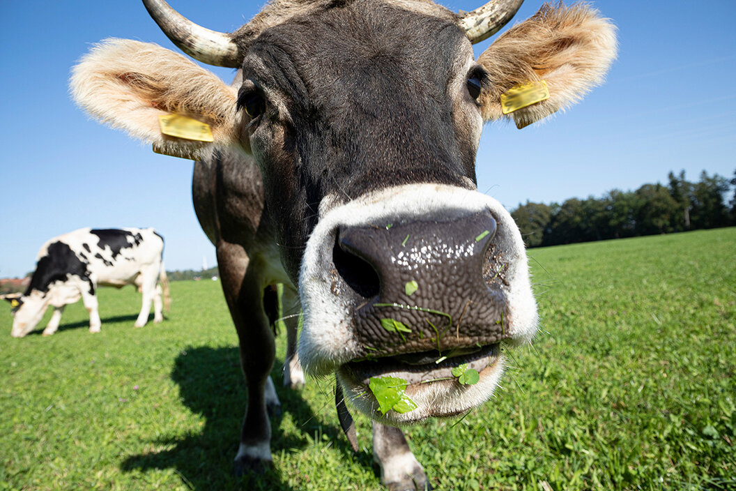 Bőrgyógyász szakorvost keresünk